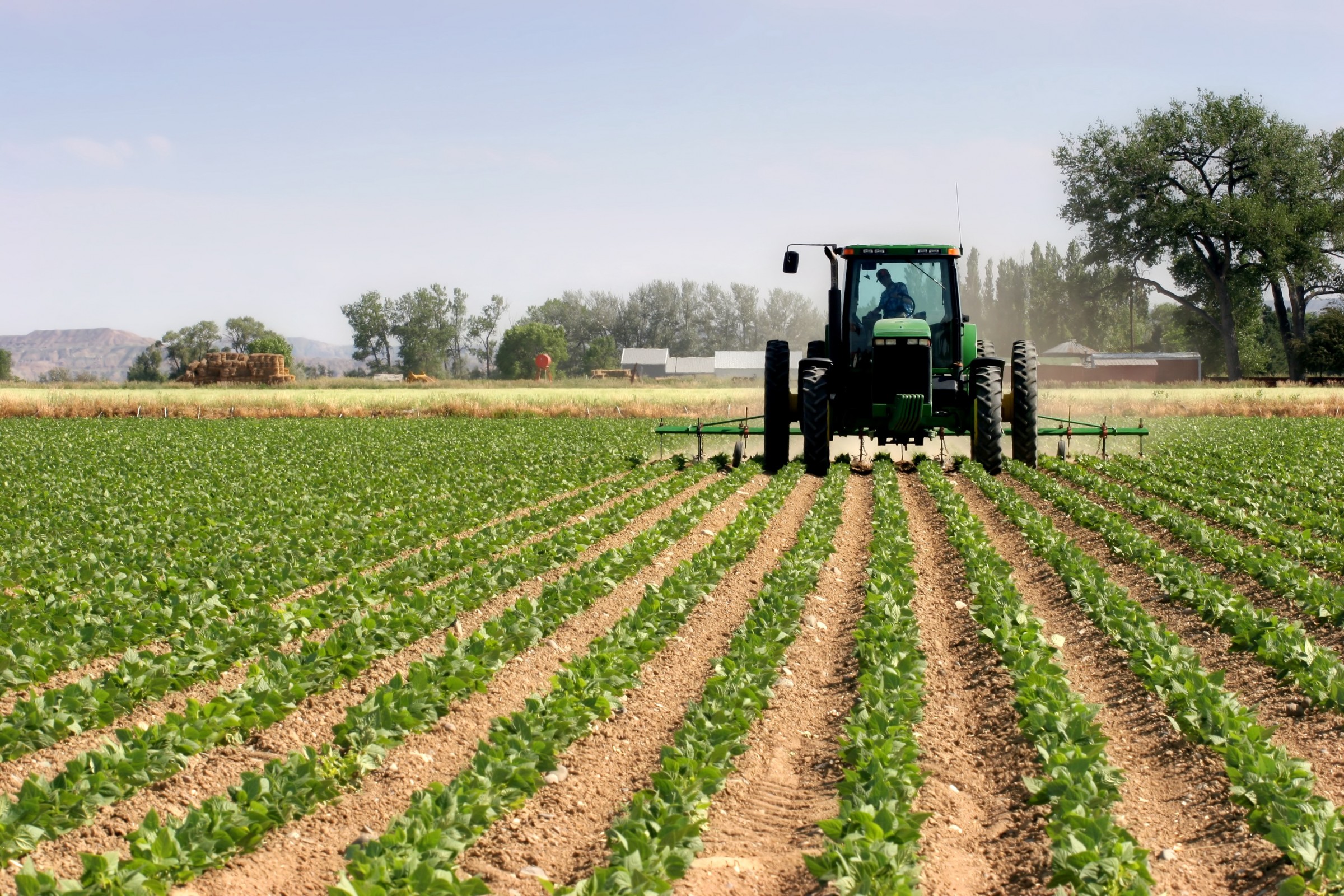 Farming machinery in a field of young plants.