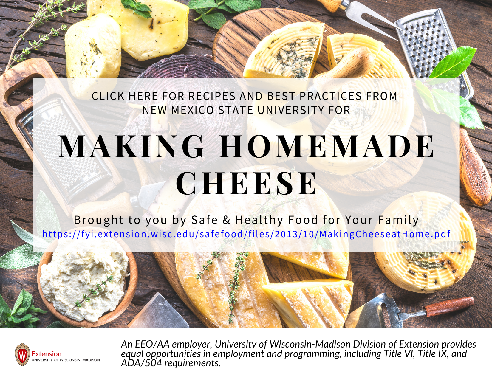 Making Homemade Cheese (Recipes, Resources, & Best Practices ...