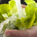 photo of rinsing lettuce
